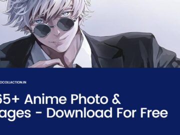 anime photo