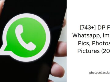 dp for whatsapp